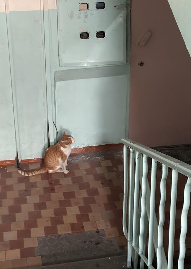 иллюстрация из яндекс картинки.