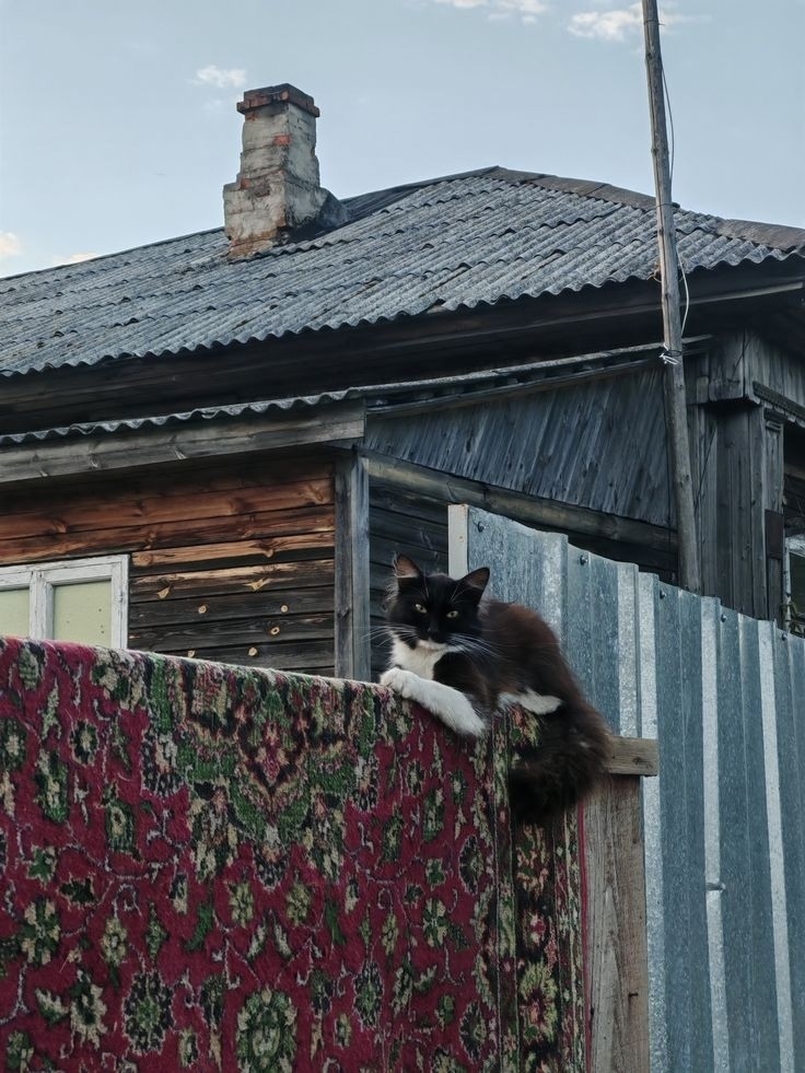 иллюстрация из яндекс картинки.