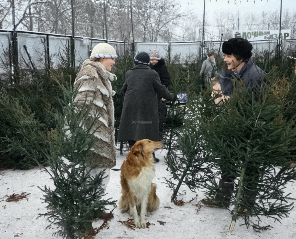 Фотограф: Владимир Федоренко