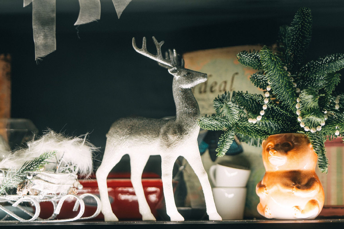 Фото Александр Куимов