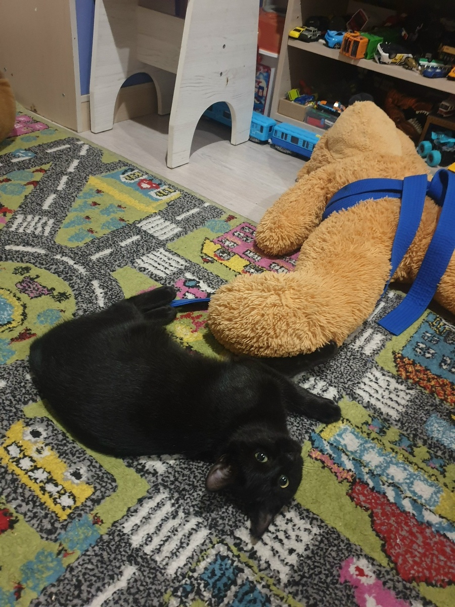 Я хорошая умная девочка 😻