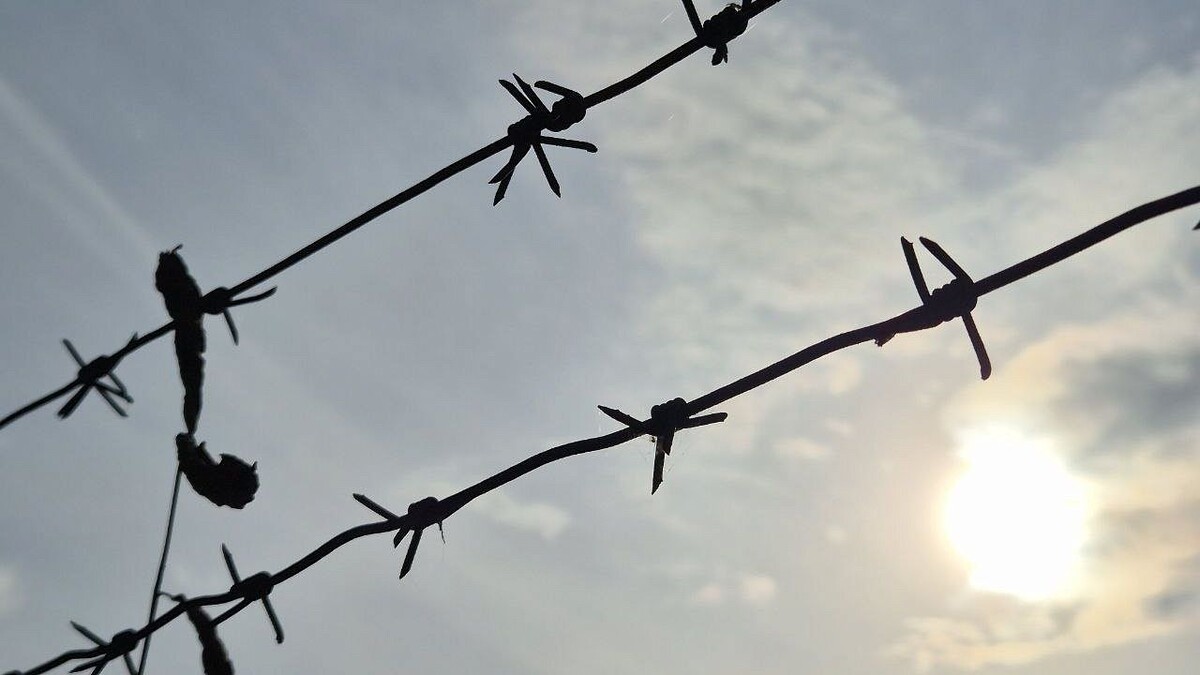    Фото: телеканал «Краснодар»