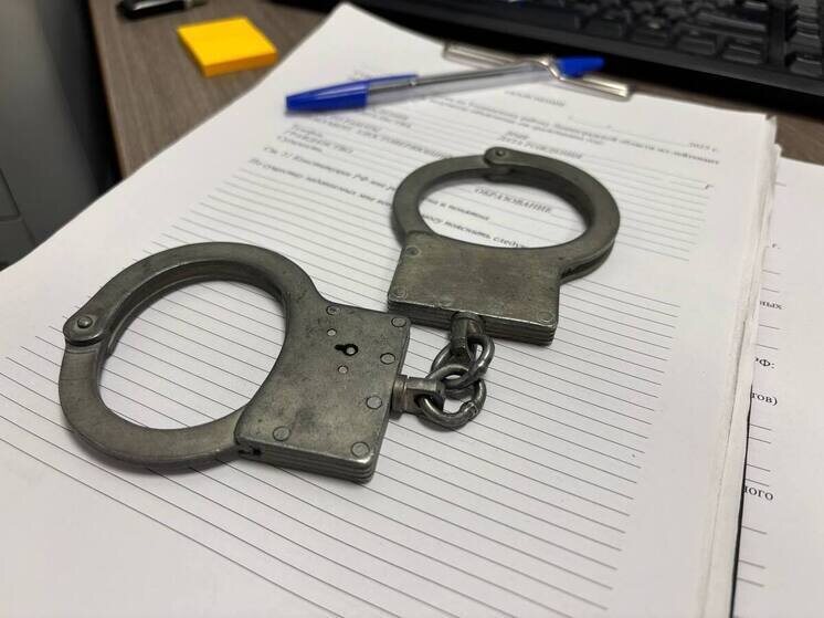     Стоимость партии оценили на сумму более миллиона рублей. Фото: архив МК в Питере