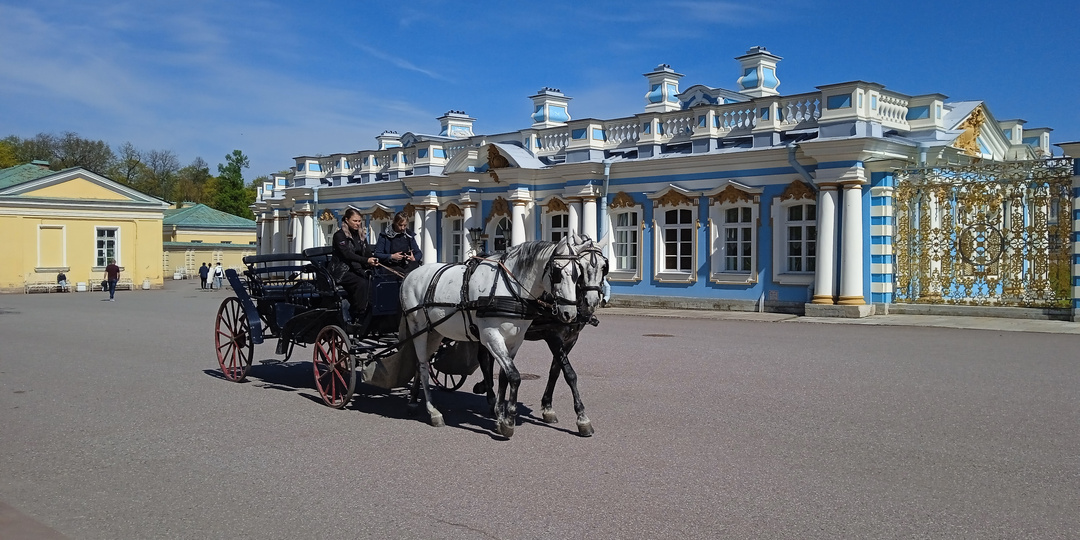 3 города рядом с Петербургом, куда можно сбежать на день.