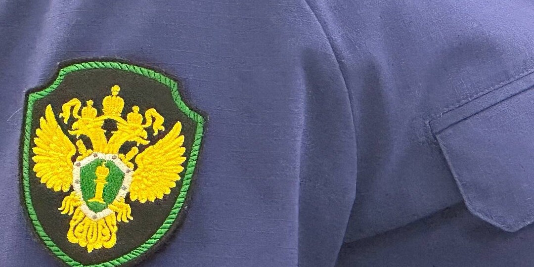 Прокурор запросил до 25 лет колонии по делу о фальсификации против Merlion