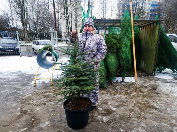     Фото: М.Панина / МедиаБанк Подмосковья