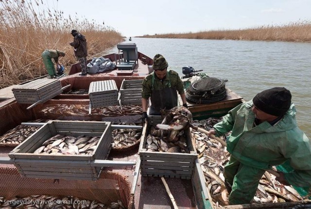 Капитализм в сфере РЫБАЛКМ и ОХОТЫ на уровне чиновников