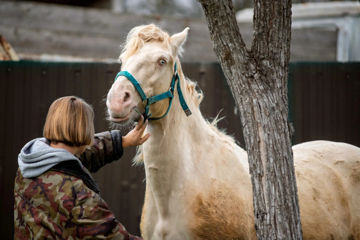Фото А. Кирова