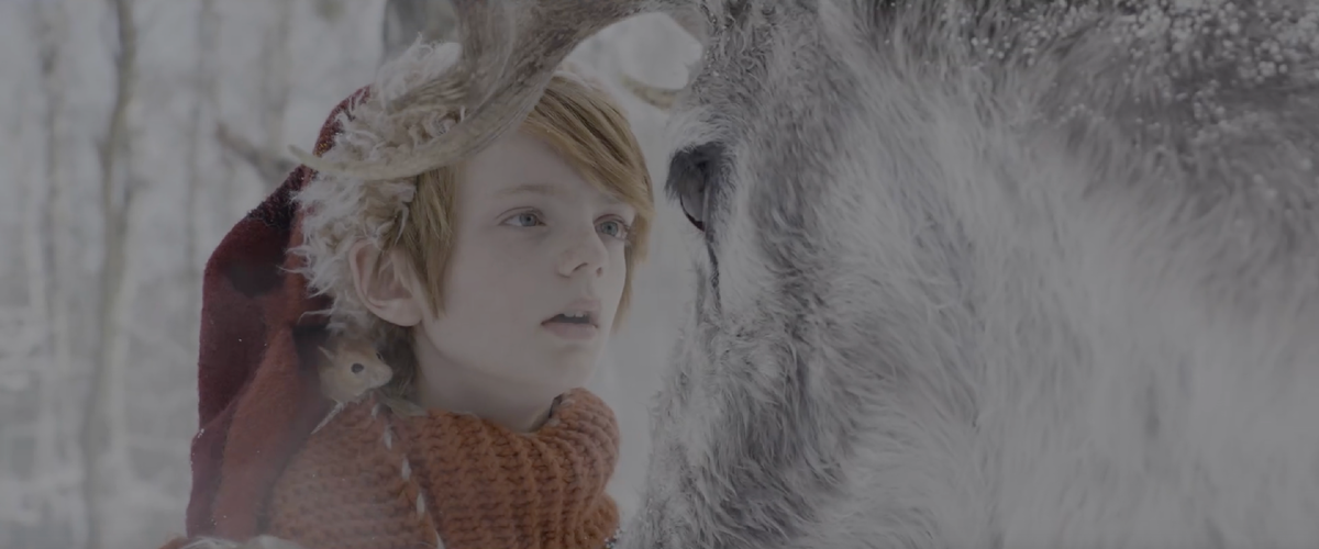 кадры из фильма