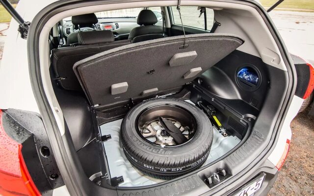 Фото: Shutterstock