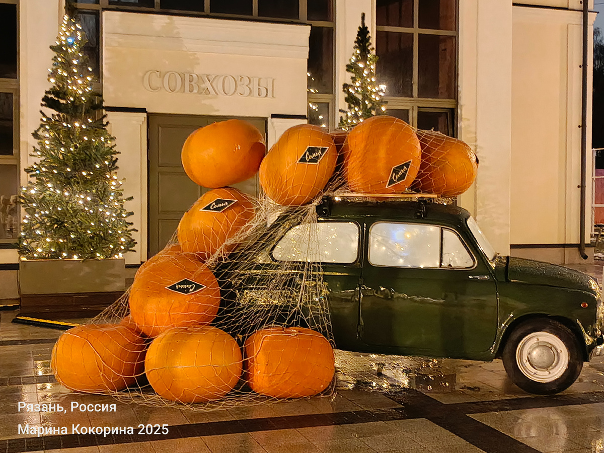 фото автора