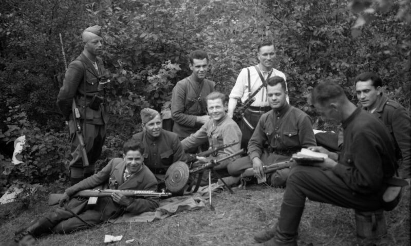 Боевики в Яворовском лесу (Яворовский национальный парк)