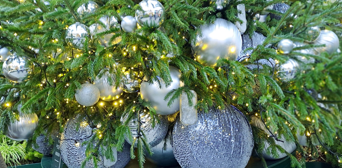 Новогодняя гирлянда на Театральной площади