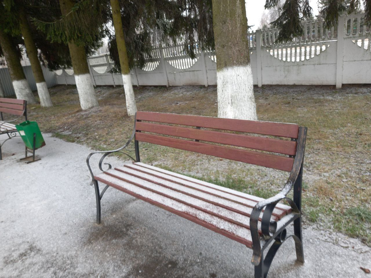 В парке вчера. По пути на стадион.
