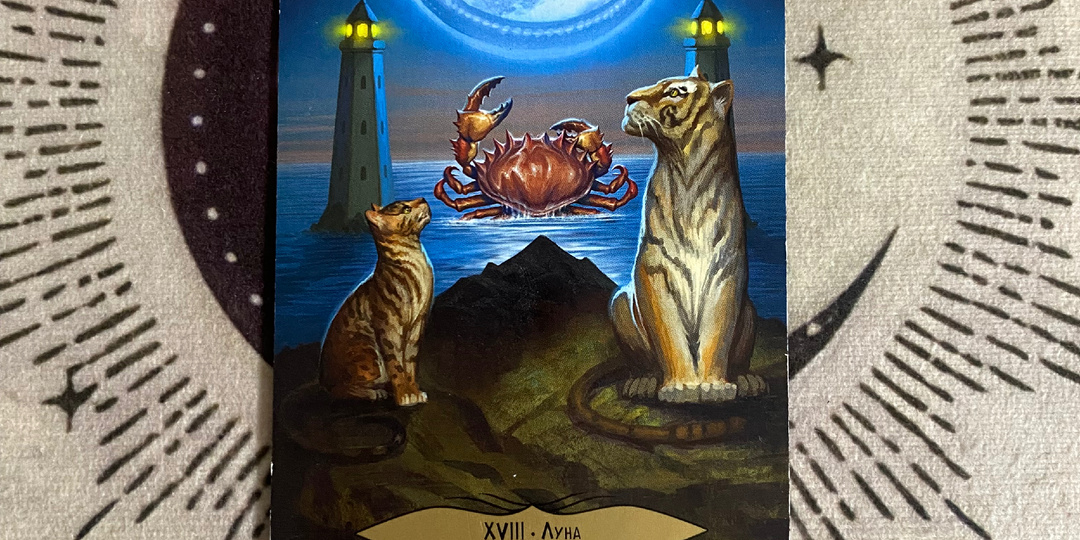 Послание на день! Таро расклад