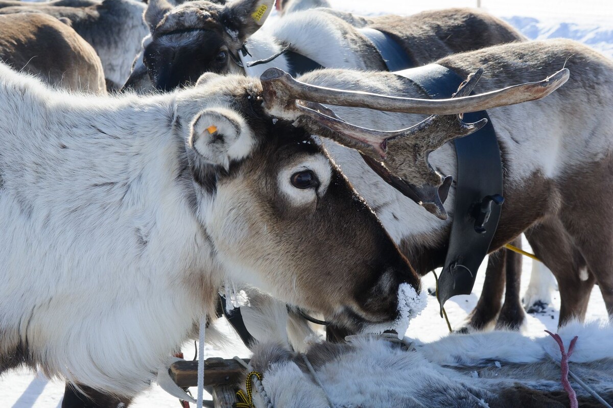     / Источник: © Global Look Press