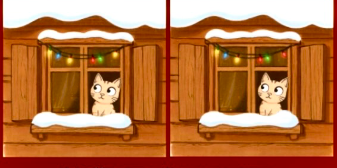 Новогодние головоломки на любой вкус на досуге