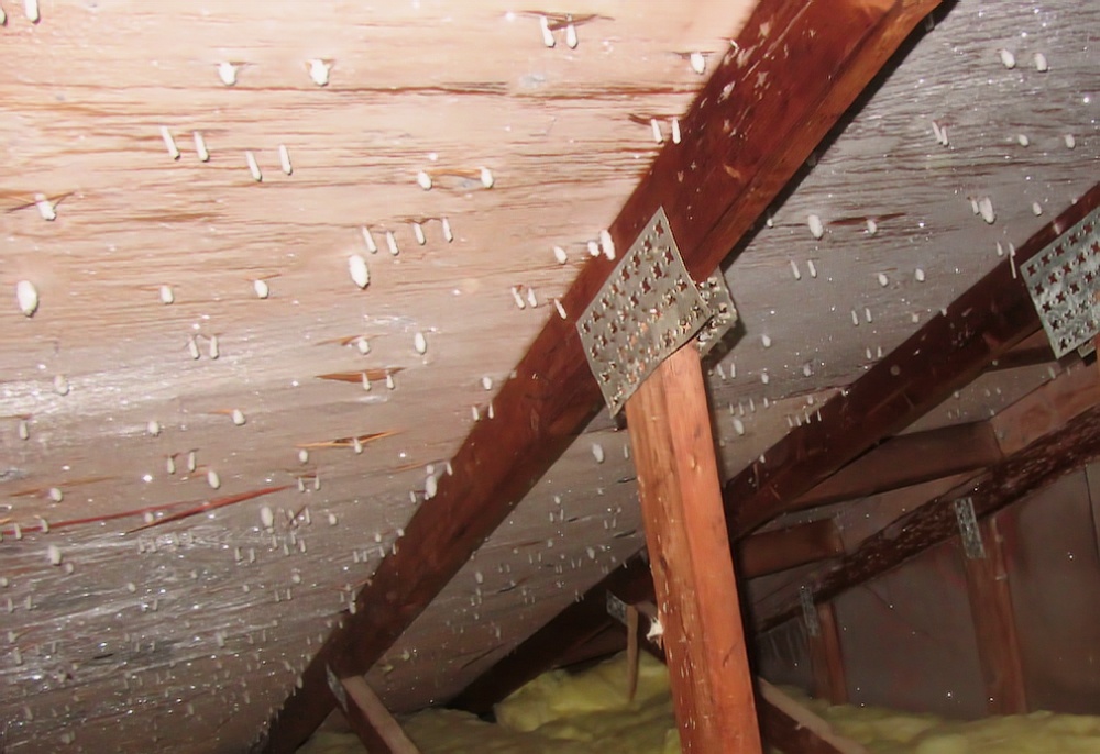 Изморозь, конденсат на мансарде