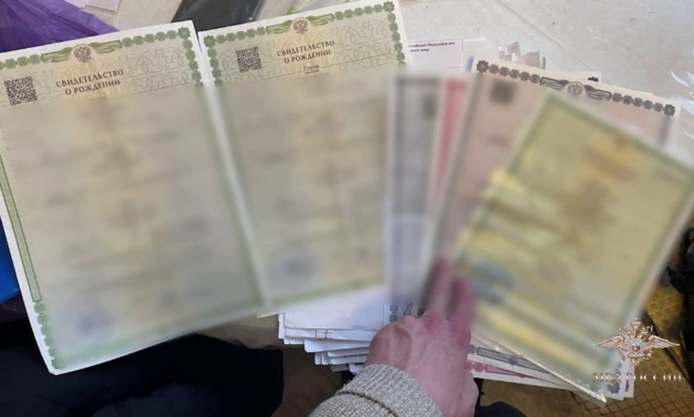   Фото: скриншот видео МВД РФ