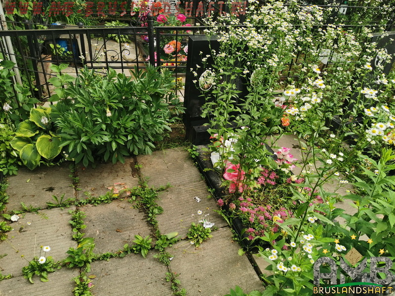 деформация тротуарной плитке на кладбище на могиле