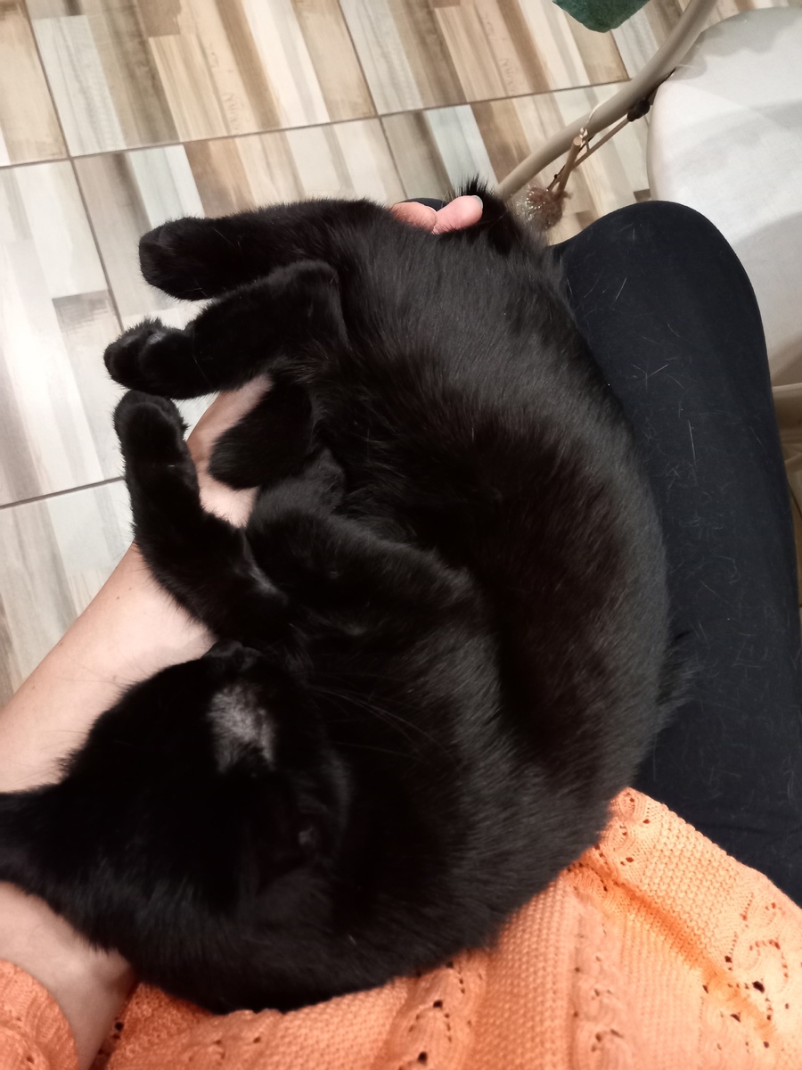 Уже подросточек