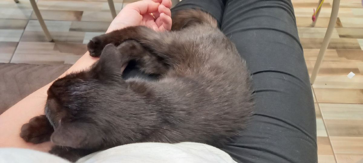 Наш первый месяц вместе