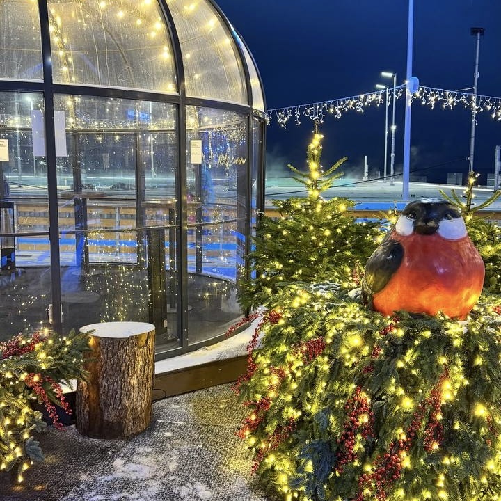 Каток у Флагштока (фото автора) 