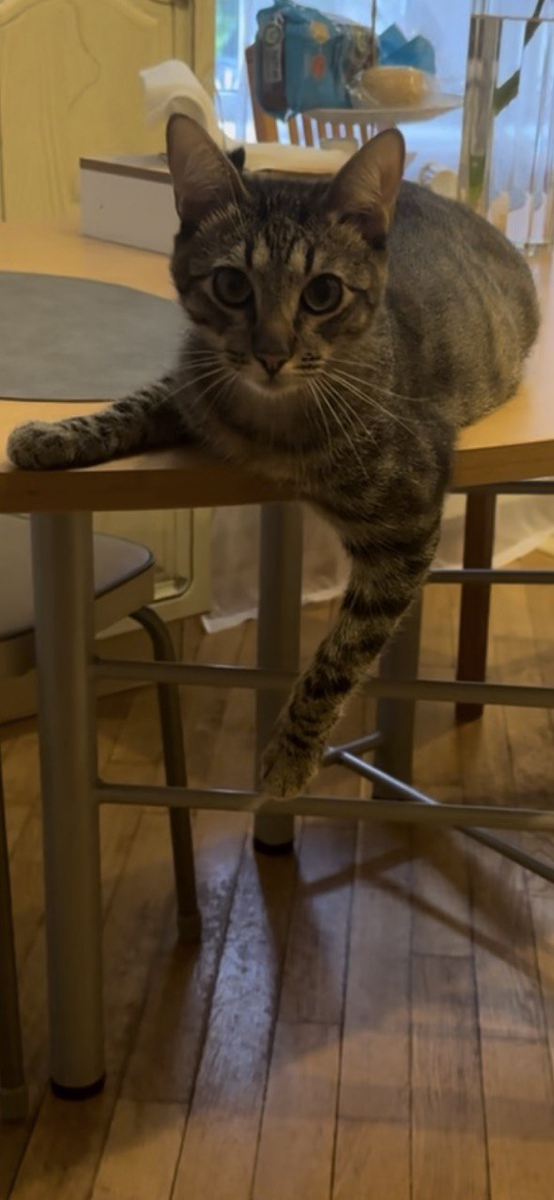 Чувствуете силу и мощь в моих глазах?