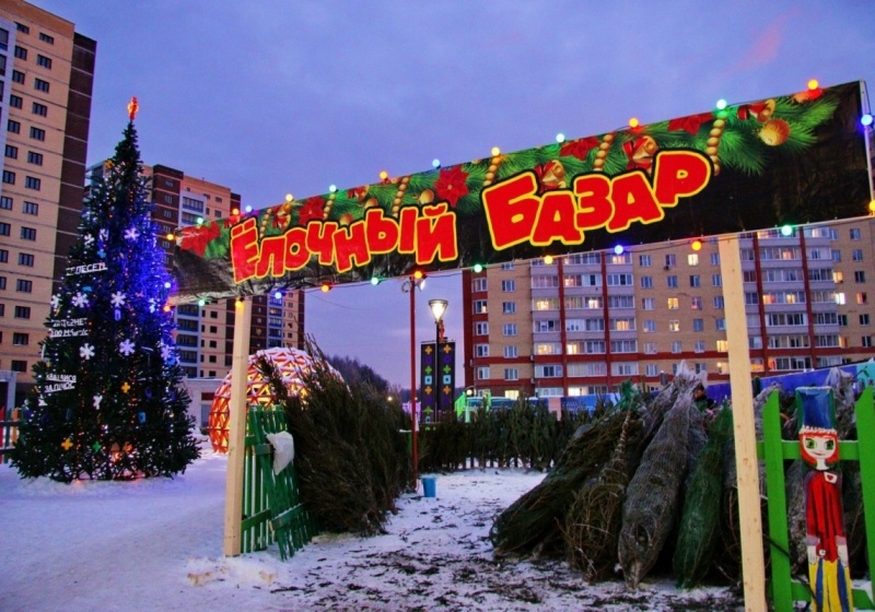 Яндекс Картинки