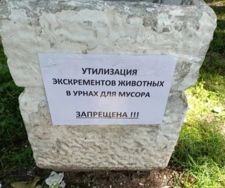 Фото из свободного доступа 