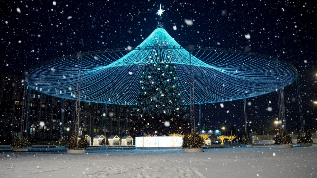 Светлана Мулыкина📷
