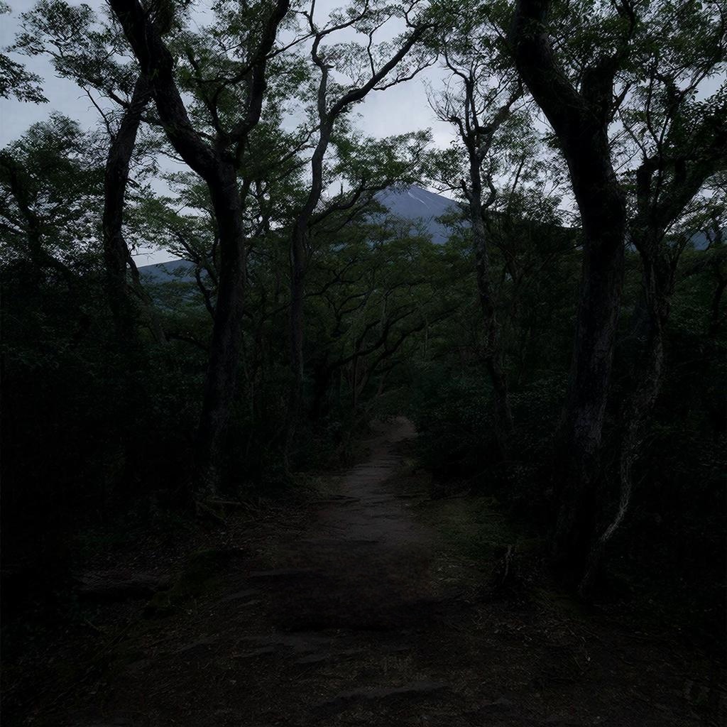 Аокигахара