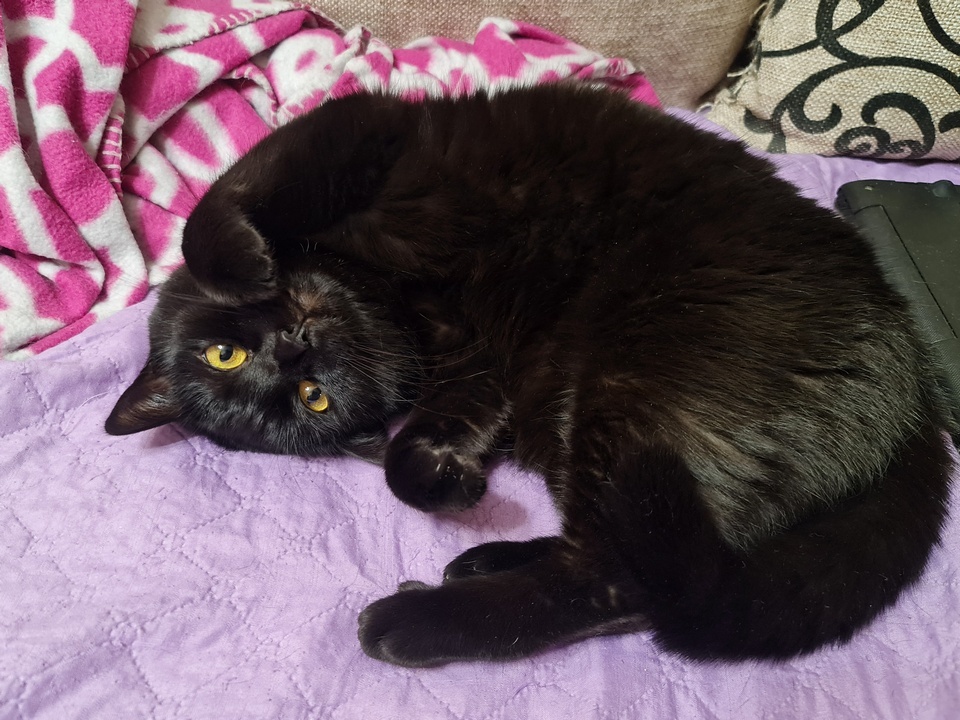    Фото: REGIONS/Александр Дрожжин