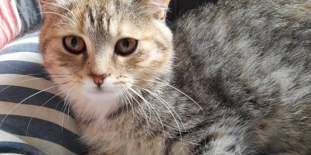 Юной Верочке очень нужен свой дом и добрая семья!!!