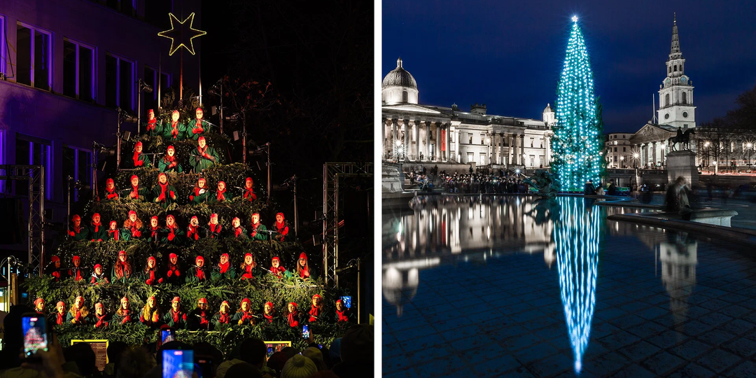 Самые красивые ёлки-2026 со всего мира