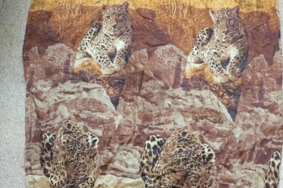    СК на Камчатке продолжает искать мать, подозреваемую в убийстве ребенка