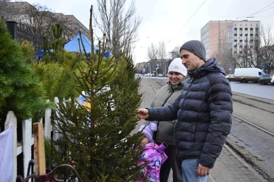    К выбору новогодних деревьев подходят тщательно Роман ПОБЕРЕЖНЮК