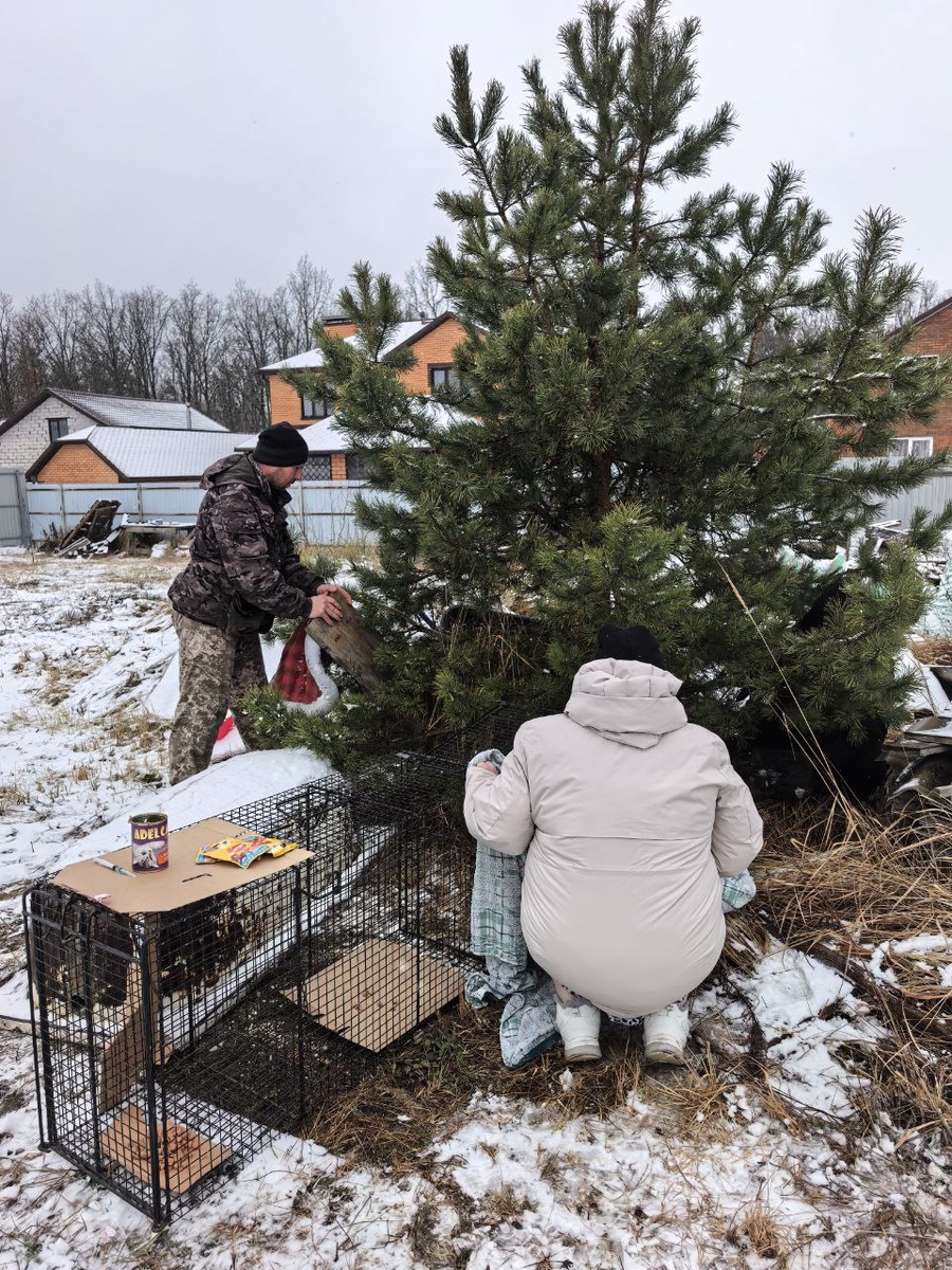 Лабиринт, ведущий к собаколовке, три ловца и один оператор Фото из архива автора