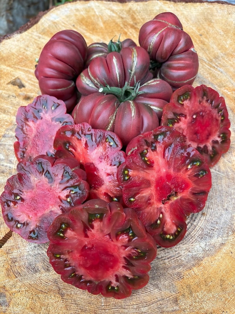 Сорт томата «Zapotec Brown Flesh» («Запотек Браун Флеш»)