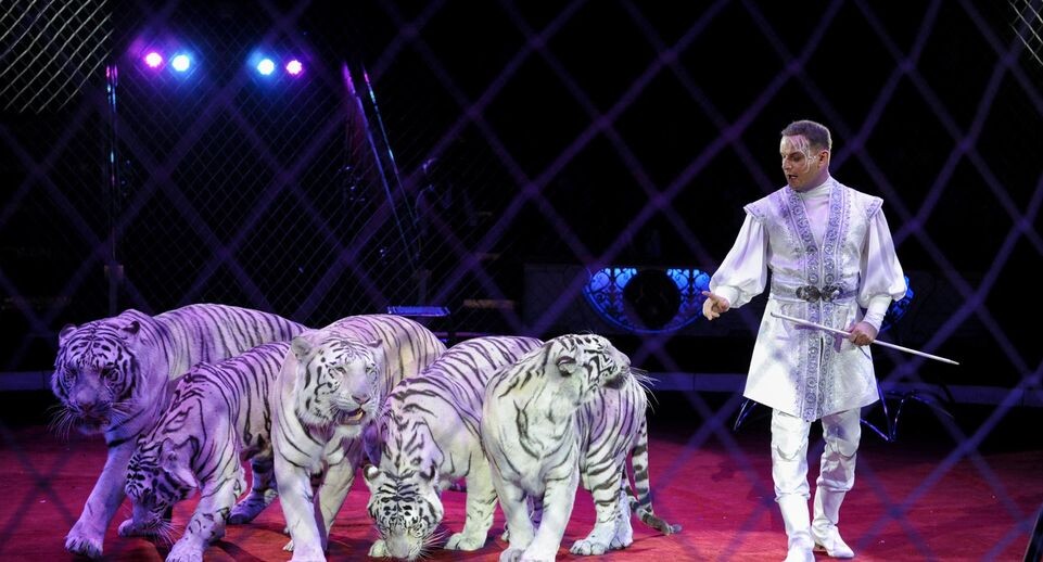    Медиасток.рф