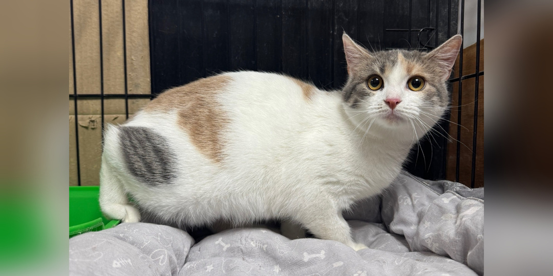 И вновь знакомимся с пополнением и влюбляемся