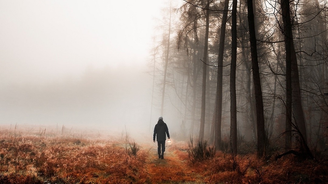 Источник: https://ru.freepik.com/