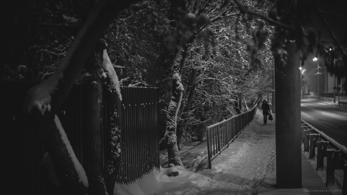 фото Андрея Павлычева