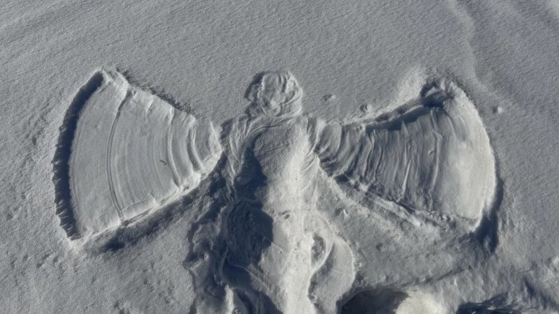     Прогулка по набережной Оби. Федор Позников