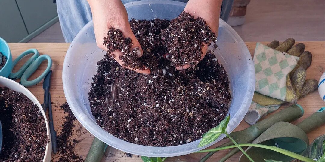 Готовим грунт для рассады своими руками: три проверенных сибирских рецепта