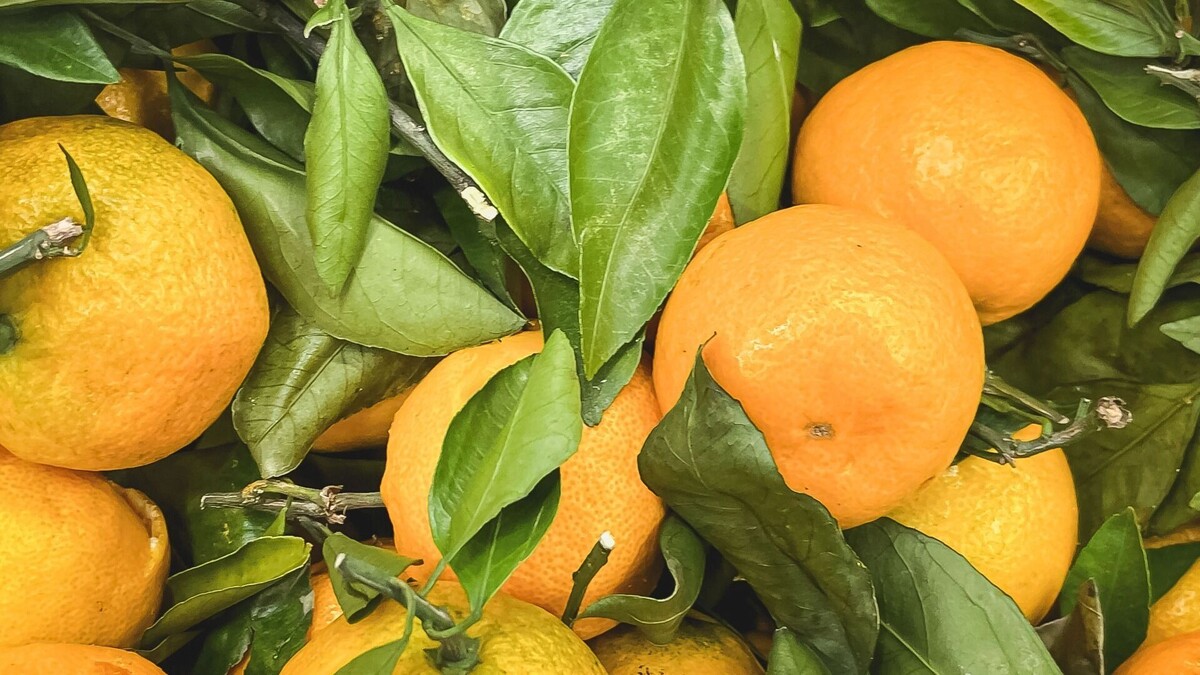    мандарины   1MI