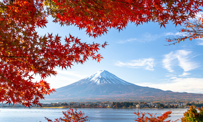 Разве это не лучшая рамка для Фудзи?