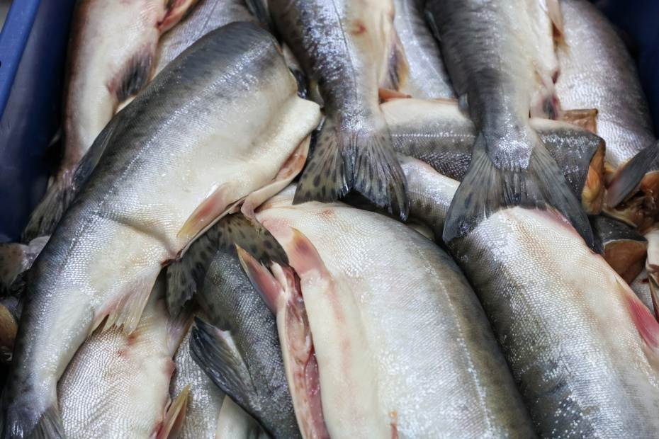    Сергей Петров/NEWS.ru