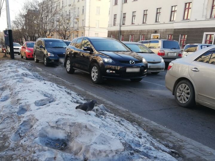    Фото:Виктория Андреева