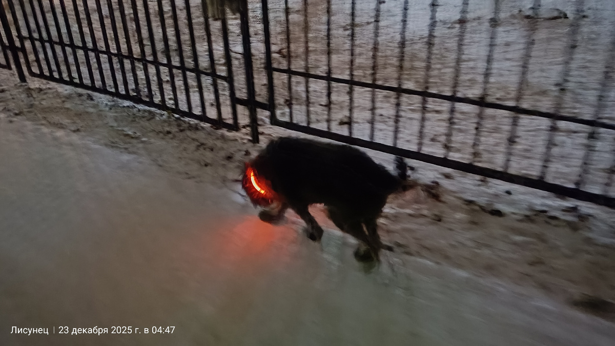 Фото автора